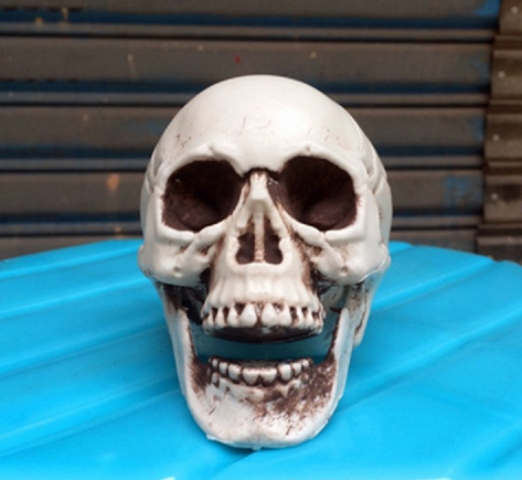 5cm Mini Horror Skull Props