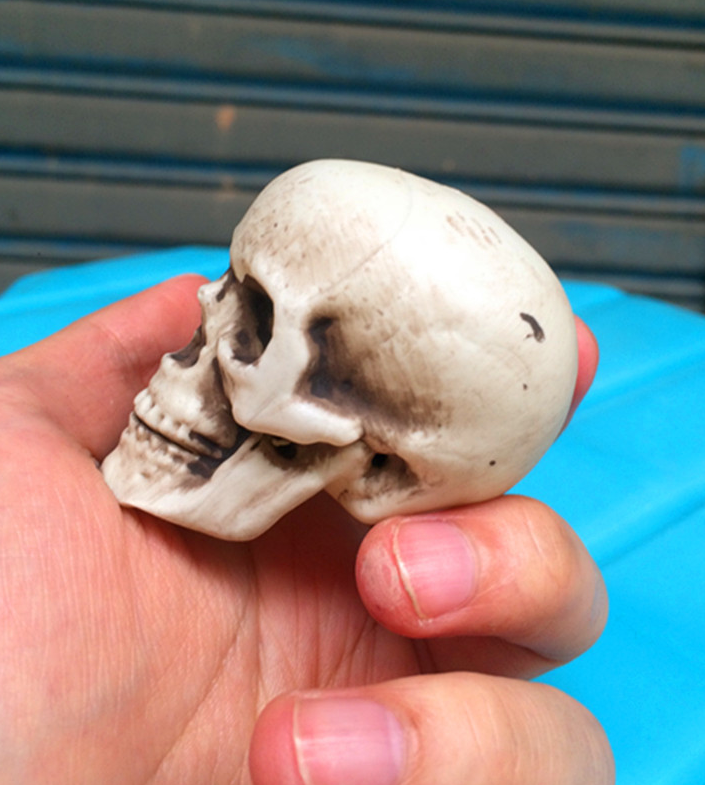 5cm Mini Horror Skull Props