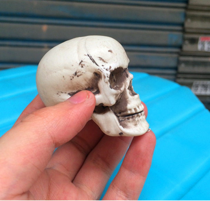 5cm Mini Horror Skull Props