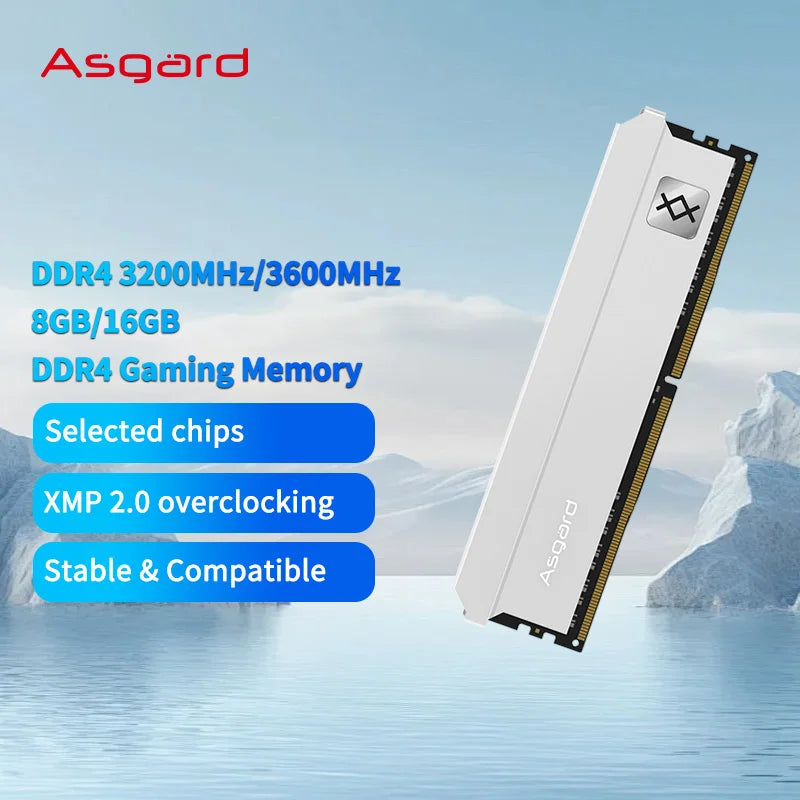 Asgard DDR4 RAM H78